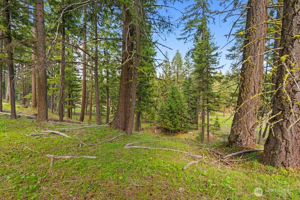 14 Rainbow Court , Cle Elum, WA 98922