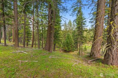 14 Rainbow Court , Cle Elum, WA 98922 - Photo 8