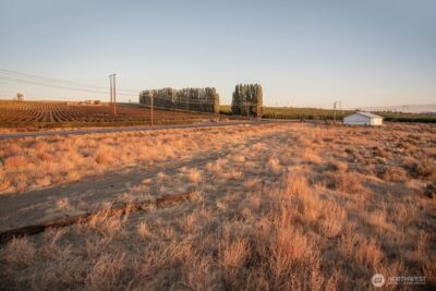 23564 Highway 243 S, Mattawa, WA 99349 - Photo 2