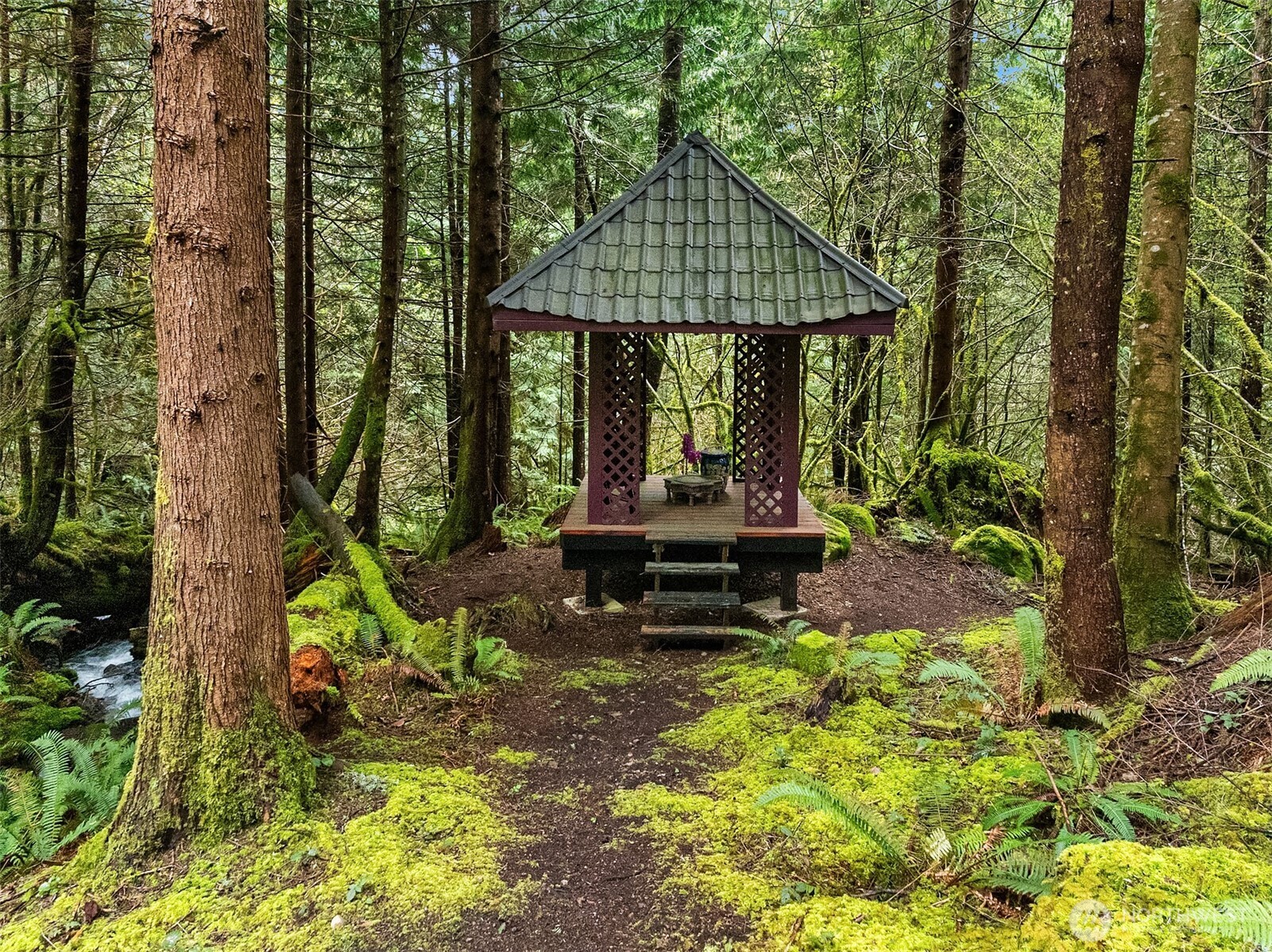 46717 SE 119th Street , North Bend, WA 98045
