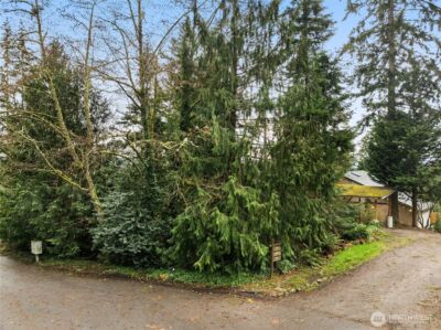 0 XX 209th Avenue NE, Sammamish, WA 98074 - Photo 3