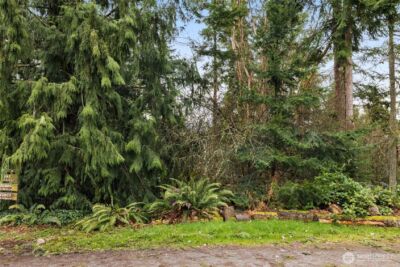 0 XX 209th Avenue NE, Sammamish, WA 98074 - Photo 4