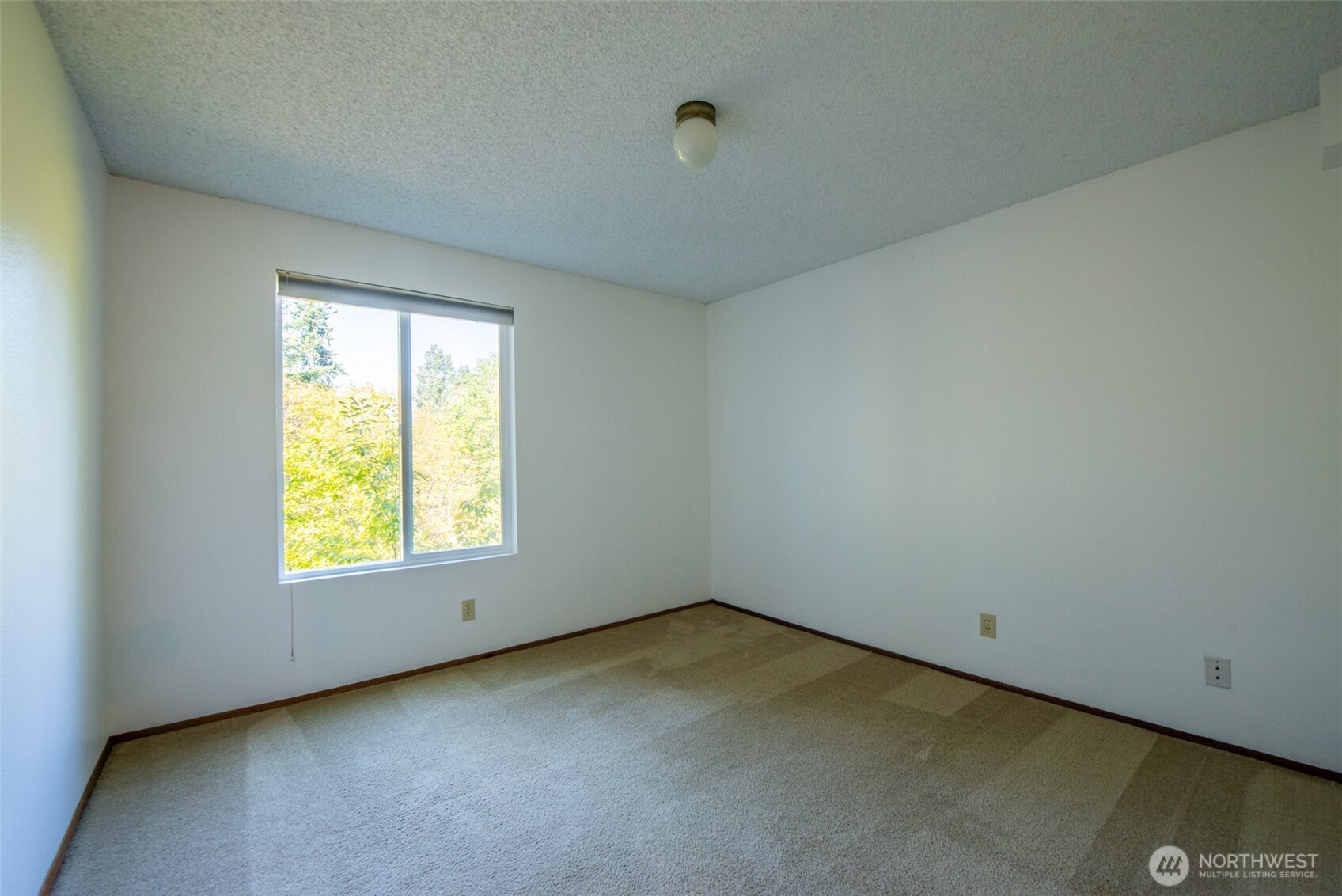 17417 Ashworth Avenue N #303, Shoreline, WA 98133-5463