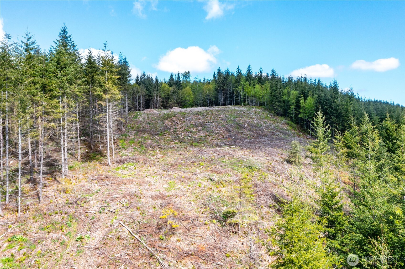 3722 Academy Highlands Drive , Bellingham, WA 98229