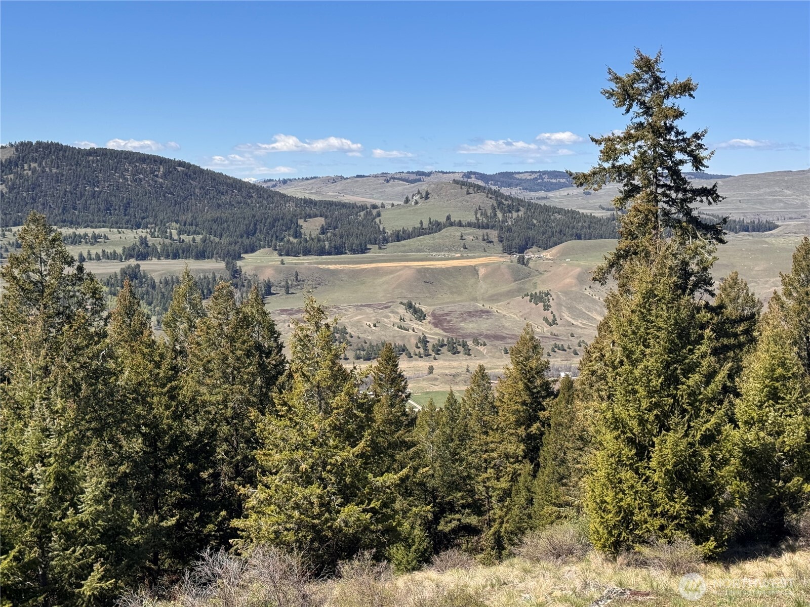 27 Mule Deer Ridge Road , Oroville, WA 98844