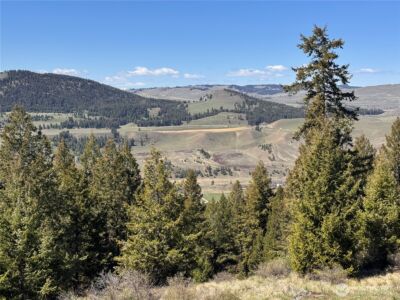 27 Mule Deer Ridge Road , Oroville, WA 98844 - Photo 19