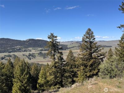 27 Mule Deer Ridge Road , Oroville, WA 98844 - Photo 20