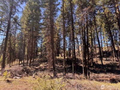 27 Mule Deer Ridge Road , Oroville, WA 98844 - Photo 21