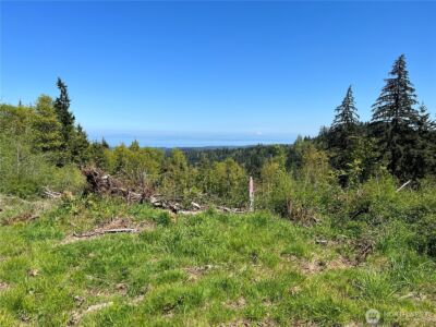 9999 E Half Mile Rd., Lot D , Port Angeles, WA 98362 - Photo 1