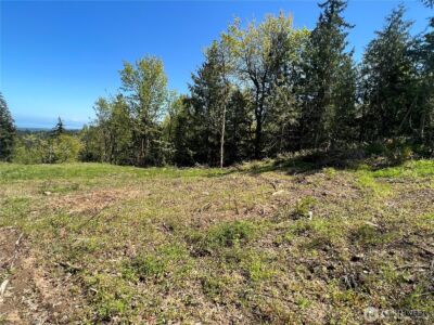 9999 E Half Mile Rd., Lot D , Port Angeles, WA 98362 - Photo 2