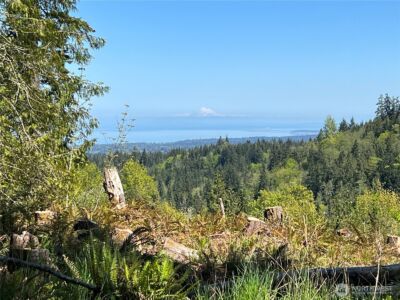 9999 E Half Mile Rd., Lot B , Port Angeles, WA 98362 - Photo 1