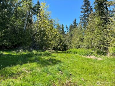 9999 E Half Mile Rd., Lot B , Port Angeles, WA 98362 - Photo 2