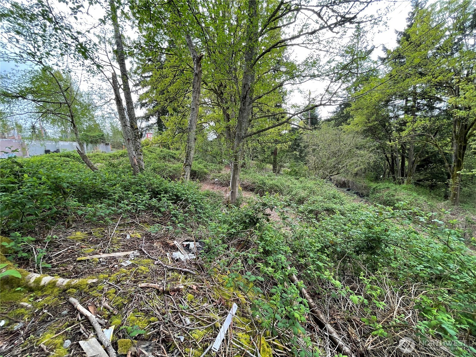 29223 S Pacific Highway S, Federal Way, WA 98003