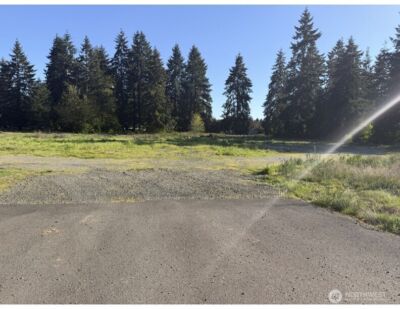 9019 173rd Avenue SW, Rochester, WA 98579 - Photo 4