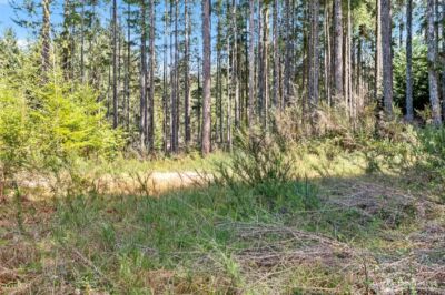 60 N Beaver Place N, Hoodsport, WA 98548 - Photo 13