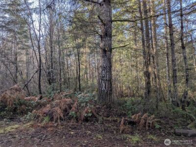 0 E Savage , Grapeview, WA 98546