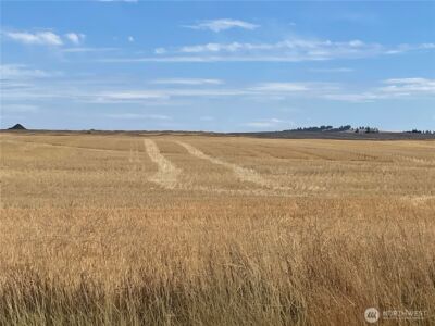 35251 Crescent Road N #6, Reardan, WA 99029 - Photo 9