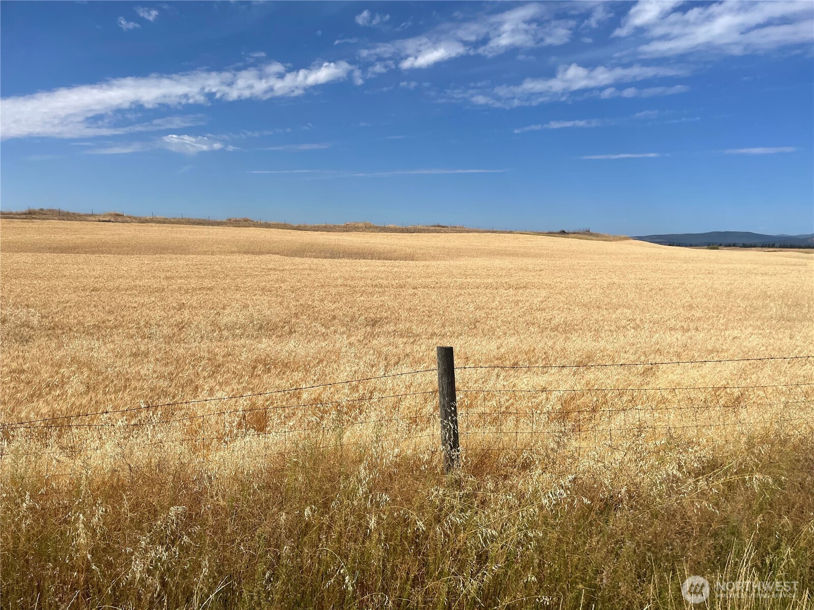 35251 Crescent Road N #5, Reardan, WA 99029