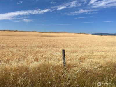 35251 Crescent Road N #5, Reardan, WA 99029 - Photo 12