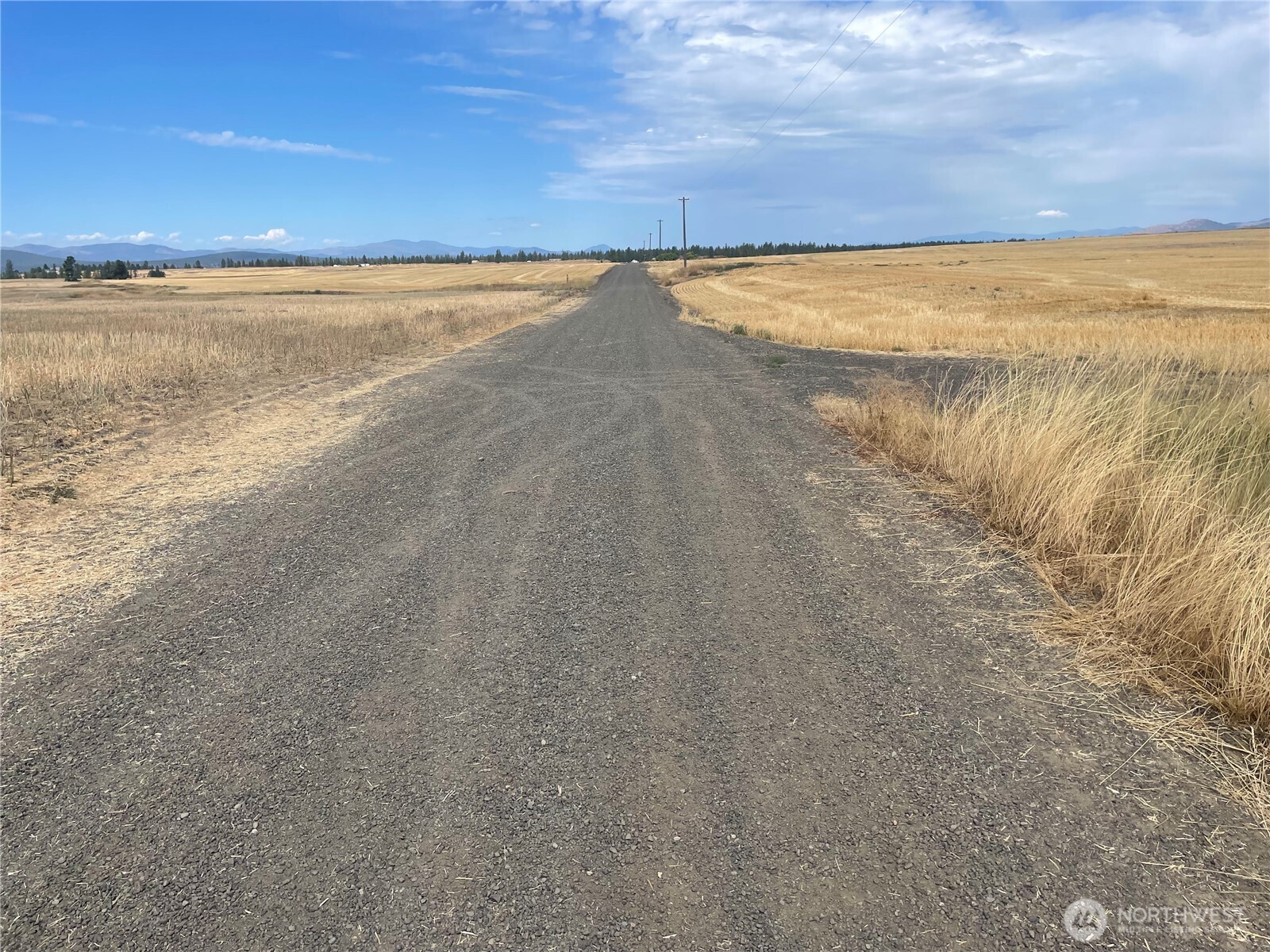 35251 Crescent Road N #5, Reardan, WA 99029
