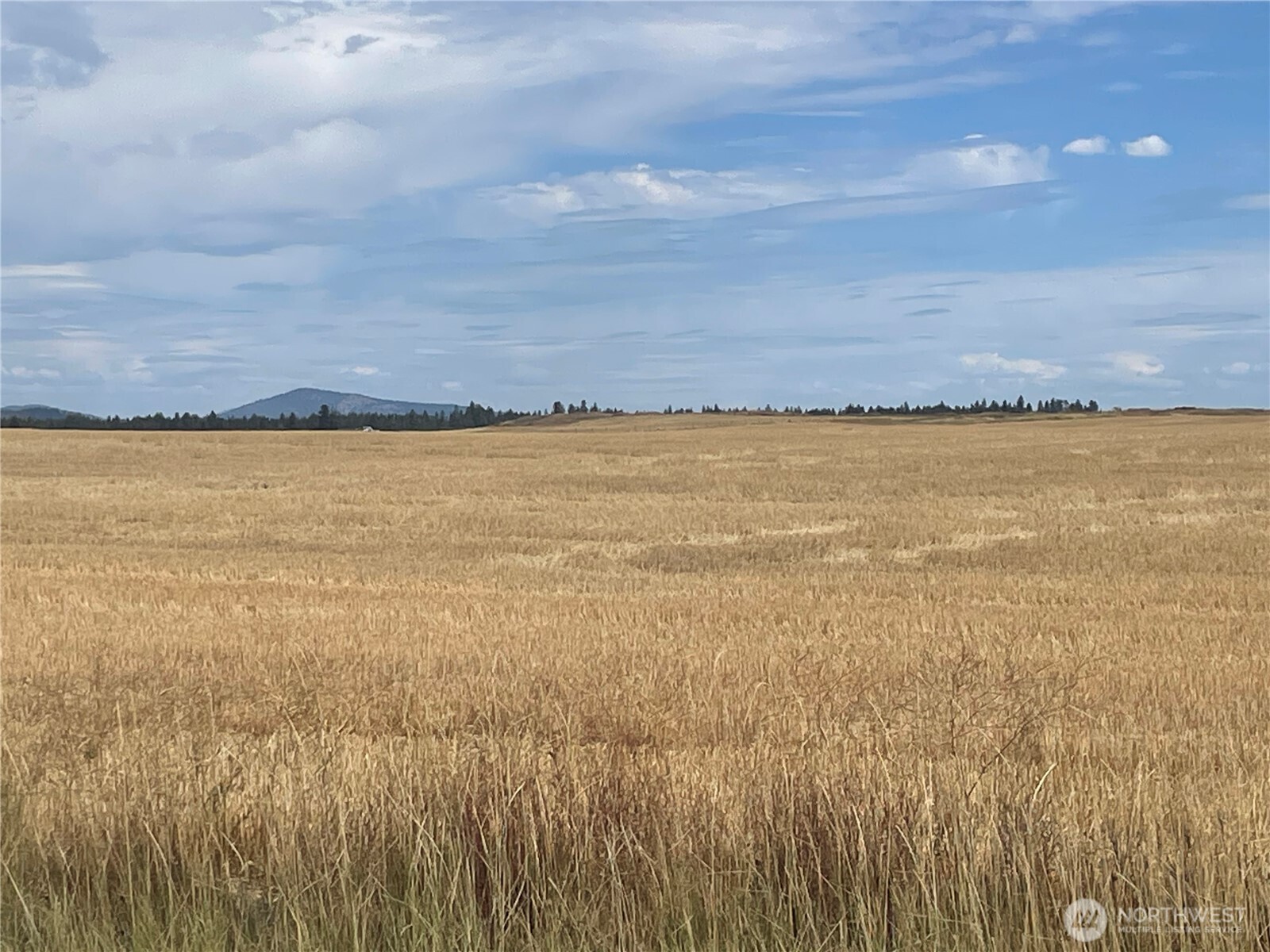 35251 Crescent Road N #5, Reardan, WA 99029