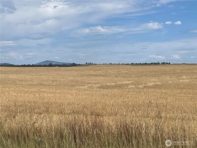 35251 Crescent Road N #5, Reardan, WA 99029 - Photo 17