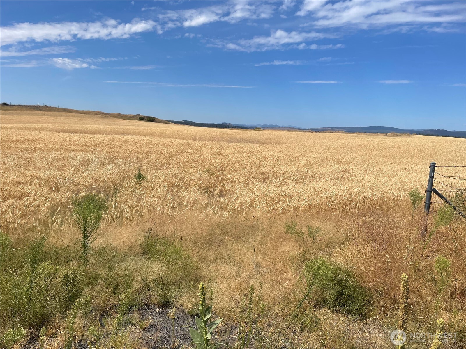 35251 Crescent Road N #5, Reardan, WA 99029