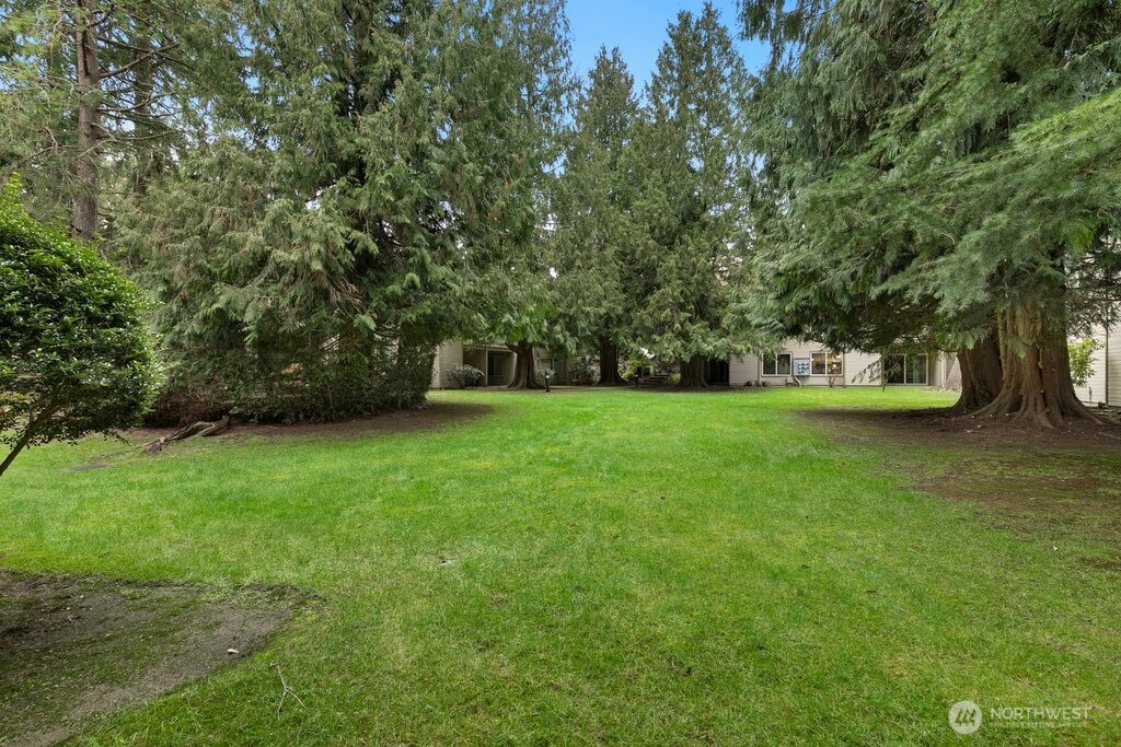 4416 145th Avenue NE #G1, Bellevue, WA 98007