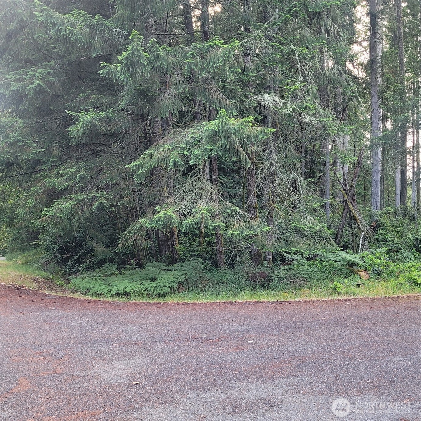 8922 129th Avenue Ct , Anderson Island, WA 98303