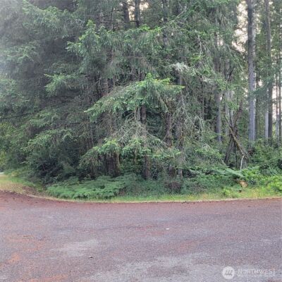 8922 129th Avenue Ct , Anderson Island, WA 98303 - Photo 1