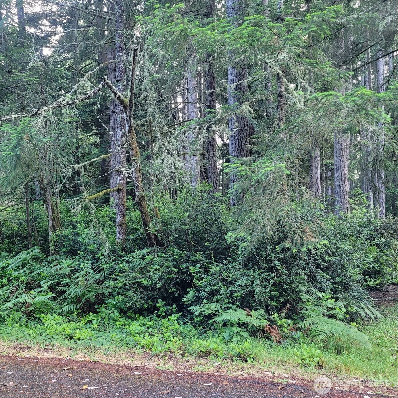 8922 129th Avenue Ct , Anderson Island, WA 98303