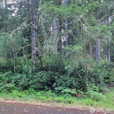 8922 129th Avenue Ct , Anderson Island, WA 98303 - Photo 2
