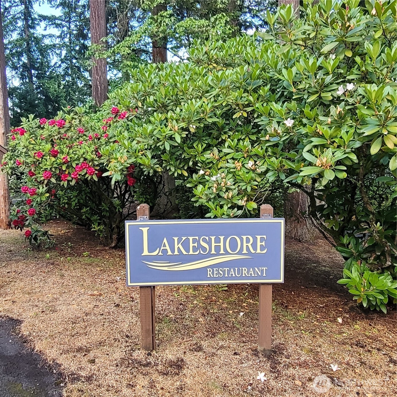 8922 129th Avenue Ct , Anderson Island, WA 98303