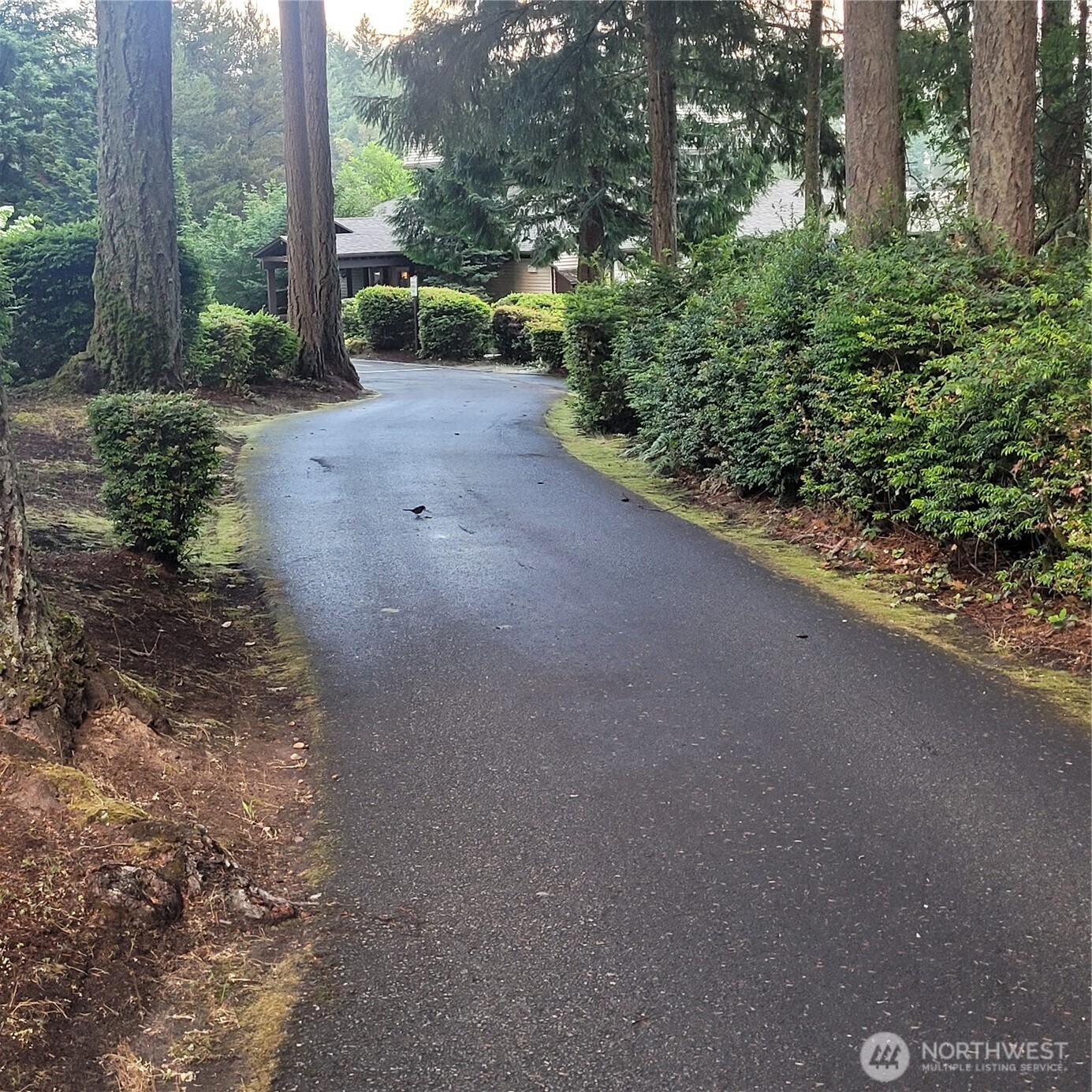 8922 129th Avenue Ct , Anderson Island, WA 98303