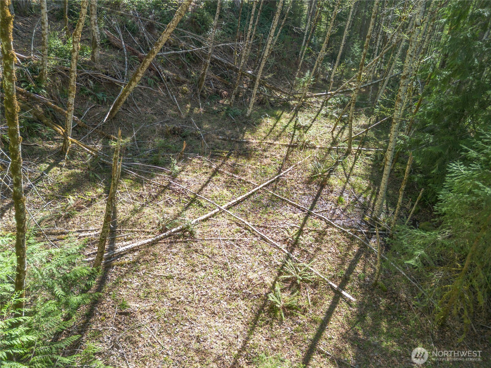 0 N Lake Cushman Road , Hoodsport, WA 98548