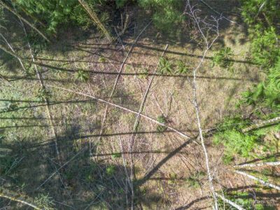 0 N Lake Cushman Road , Hoodsport, WA 98548 - Photo 11