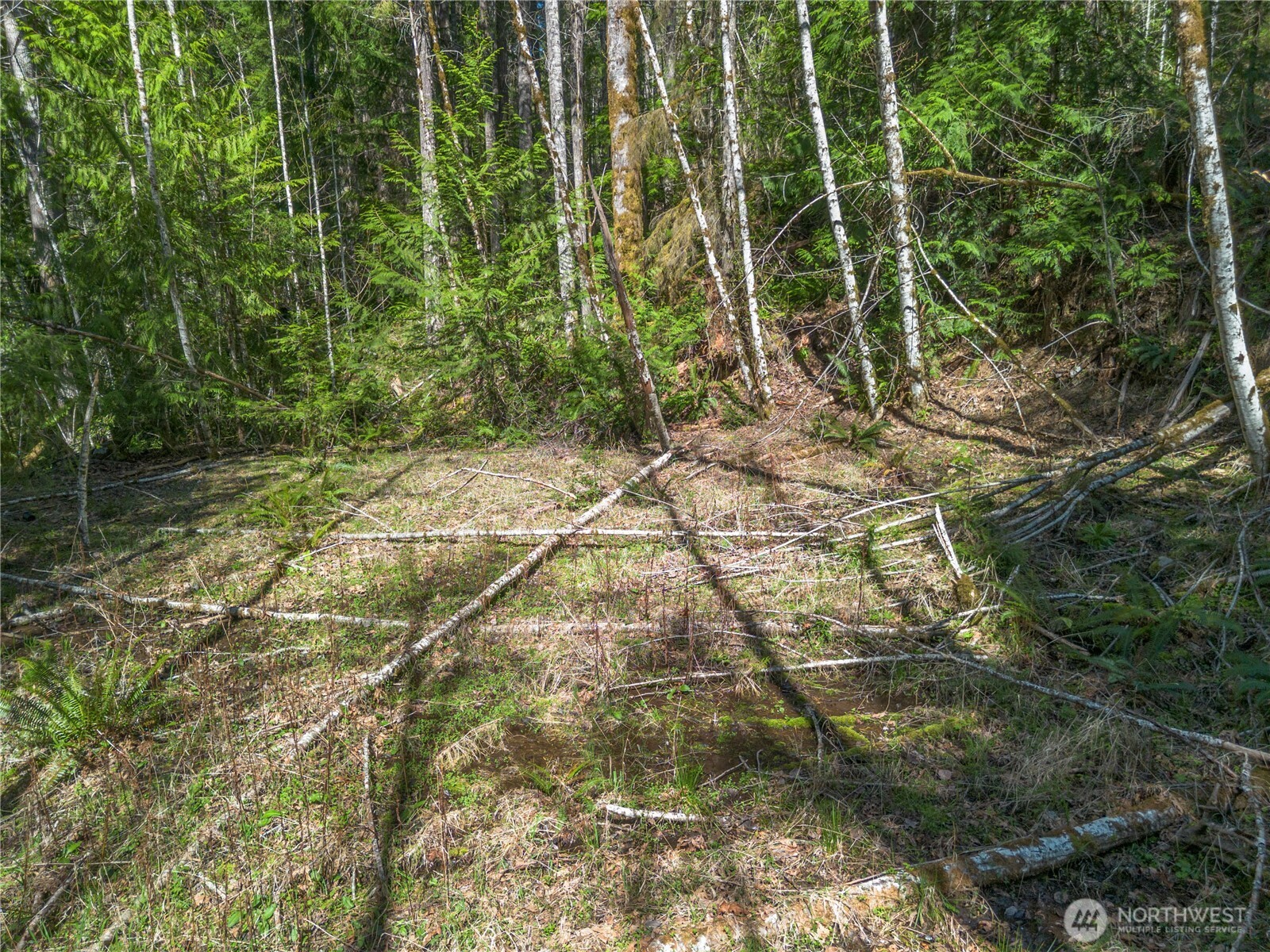 0 N Lake Cushman Road , Hoodsport, WA 98548