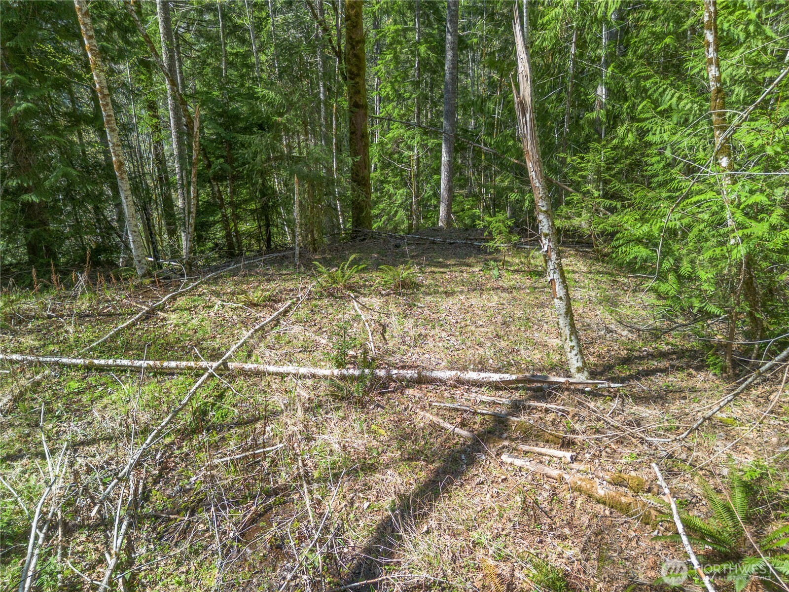 0 N Lake Cushman Road , Hoodsport, WA 98548