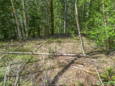 0 N Lake Cushman Road , Hoodsport, WA 98548 - Photo 13
