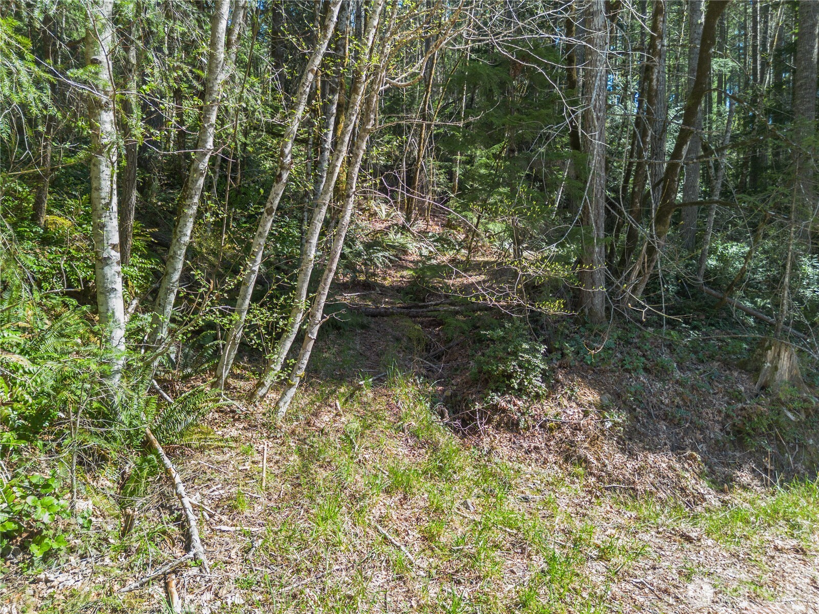 0 N Lake Cushman Road , Hoodsport, WA 98548