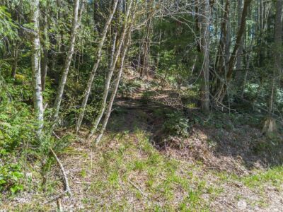 0 N Lake Cushman Road , Hoodsport, WA 98548 - Photo 3