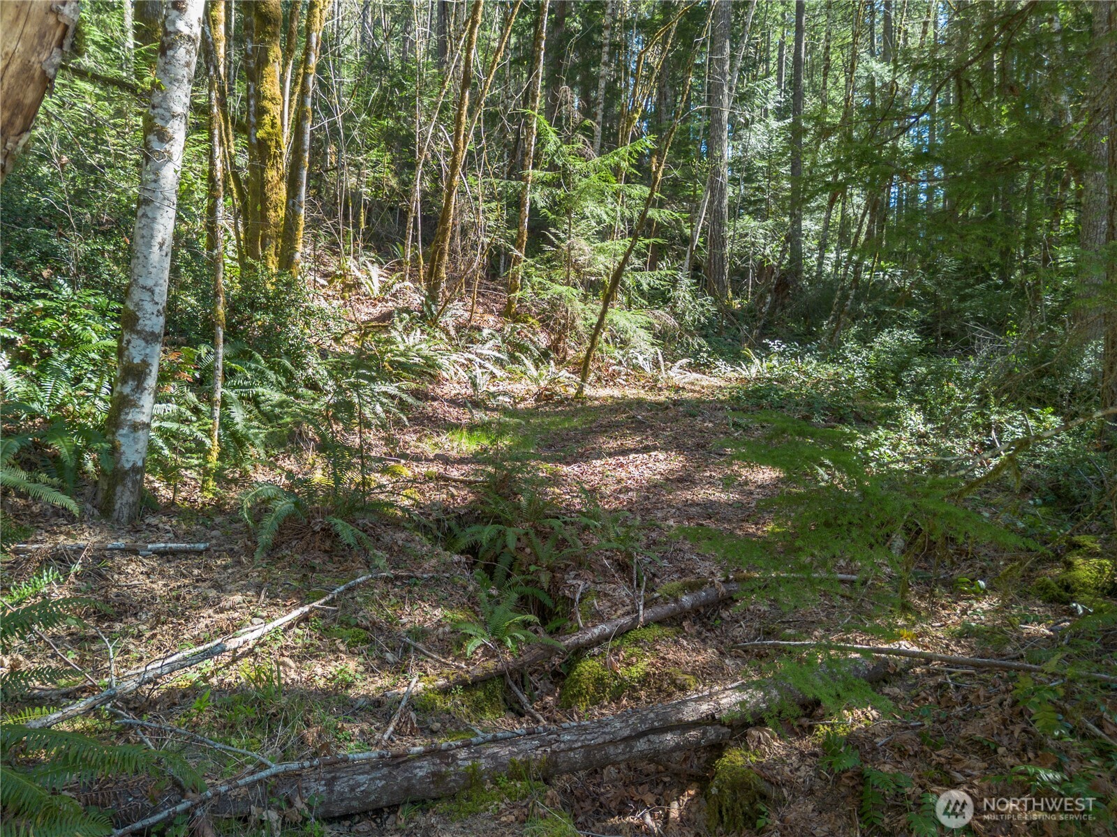 0 N Lake Cushman Road , Hoodsport, WA 98548