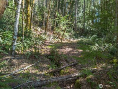 0 N Lake Cushman Road , Hoodsport, WA 98548 - Photo 4