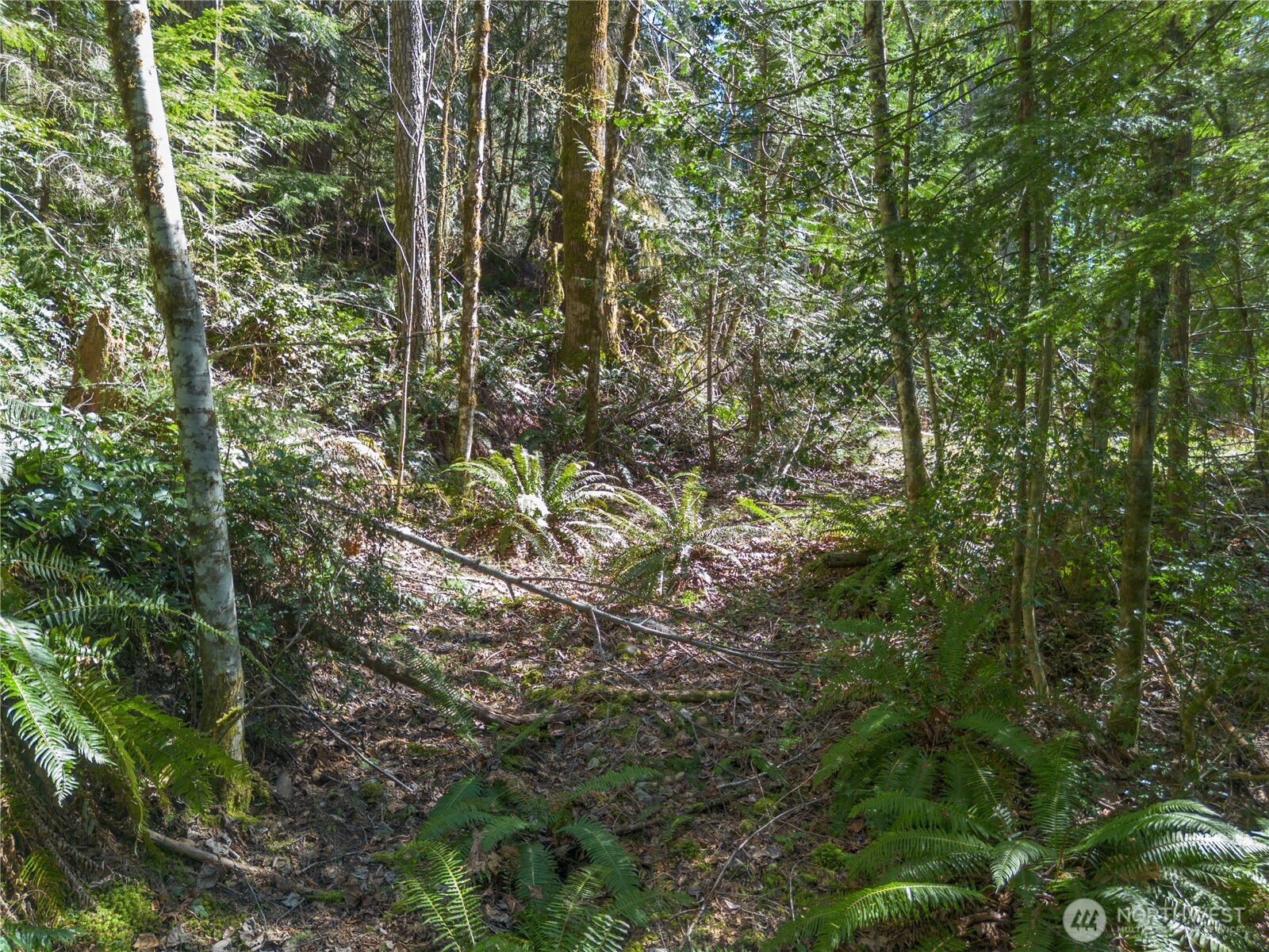 0 N Lake Cushman Road , Hoodsport, WA 98548