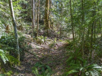 0 N Lake Cushman Road , Hoodsport, WA 98548 - Photo 5