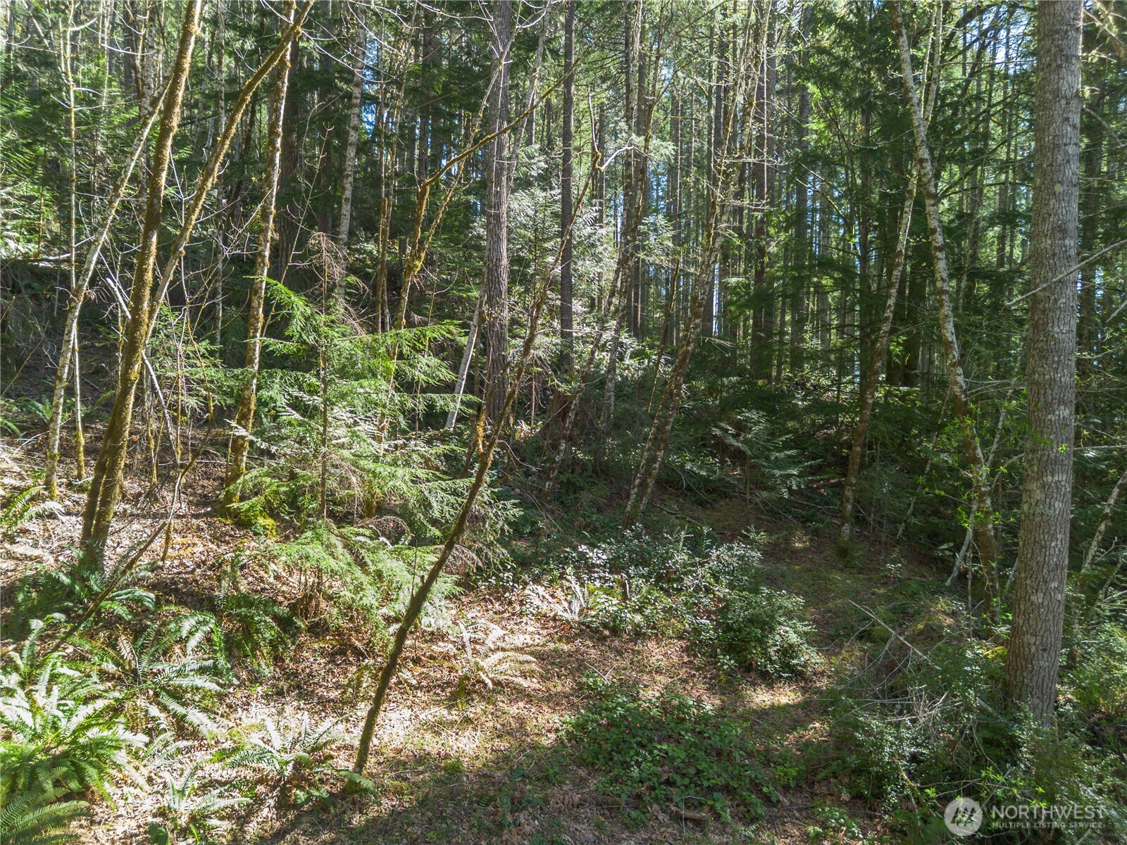 0 N Lake Cushman Road , Hoodsport, WA 98548