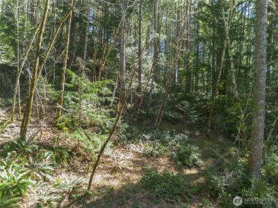 0 N Lake Cushman Road , Hoodsport, WA 98548 - Photo 6