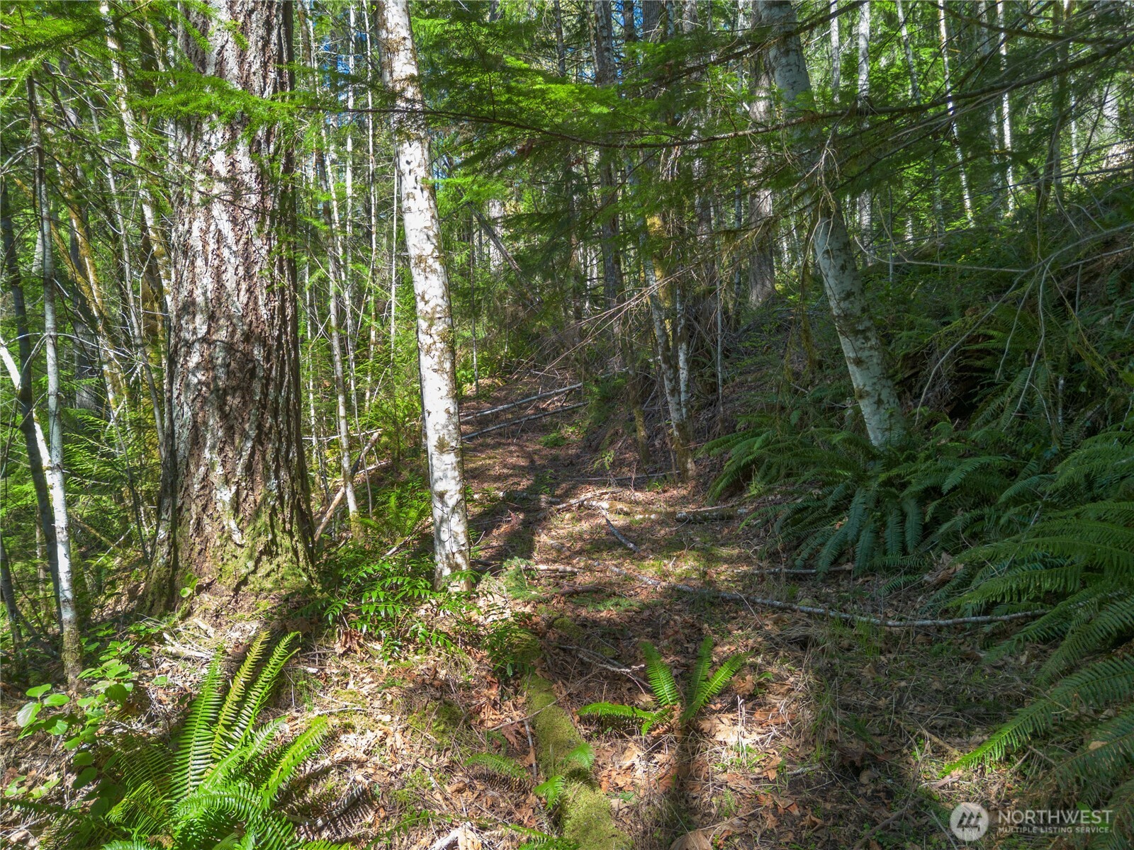 0 N Lake Cushman Road , Hoodsport, WA 98548