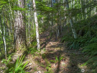 0 N Lake Cushman Road , Hoodsport, WA 98548 - Photo 7