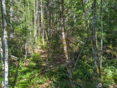 0 N Lake Cushman Road , Hoodsport, WA 98548 - Photo 8